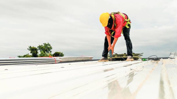 Best Solar Panel Roofing Installation  in Clear Lake Shores, TX